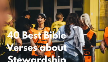 40 Best Bible Verses about Stewardship