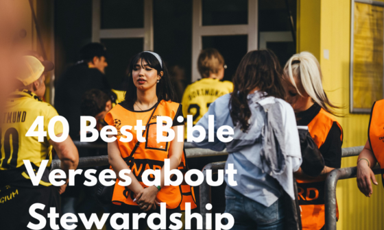 40 Best Bible Verses about Stewardship