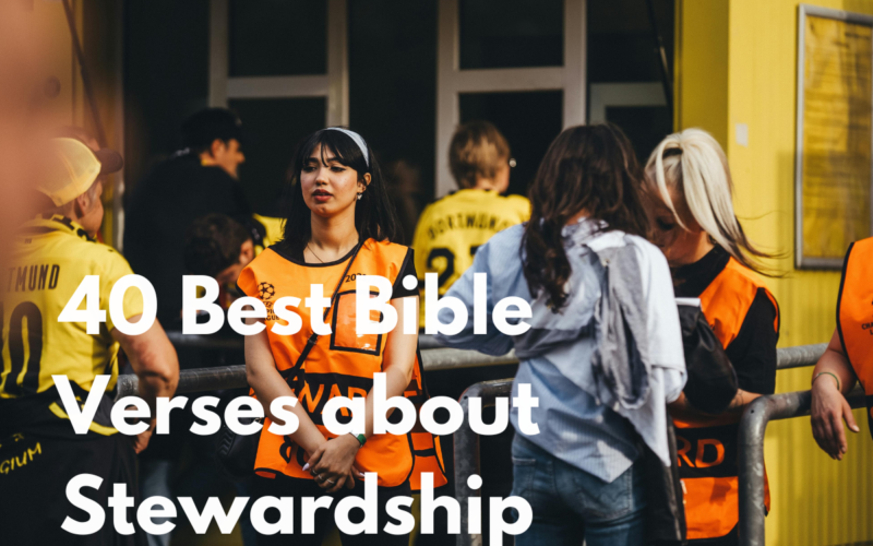 40 Best Bible Verses about Stewardship