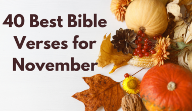 40 Best Bible Verses for November