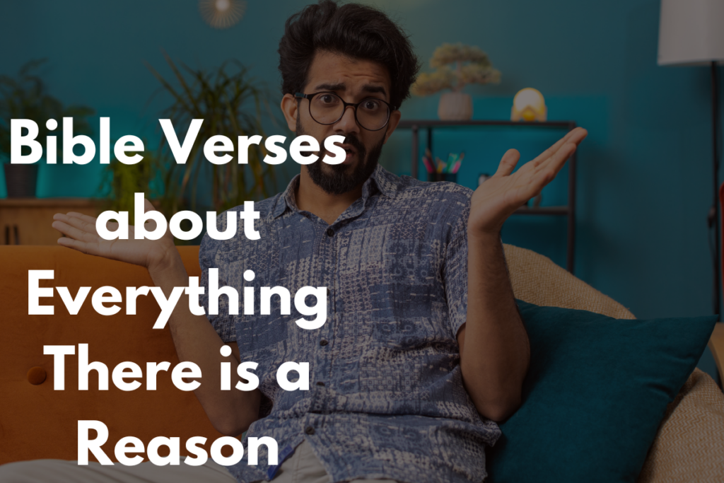 Bible Verses about Everything There is a Reason