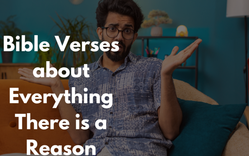 Bible Verses about Everything There is a Reason