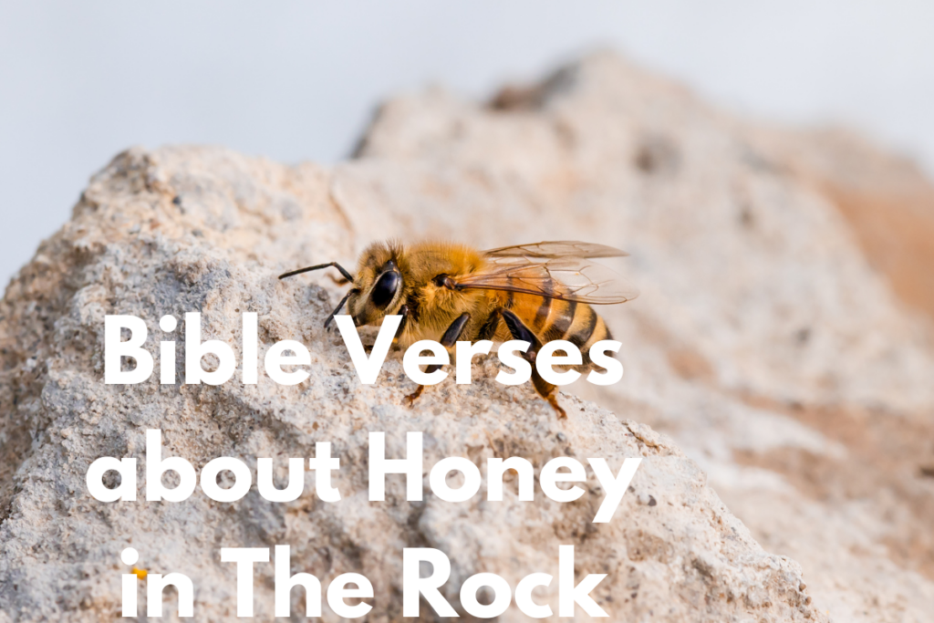 Bible Verses about Honey in The Rock