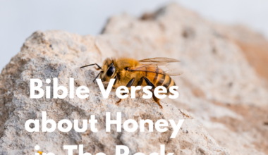 Bible Verses about Honey in The Rock