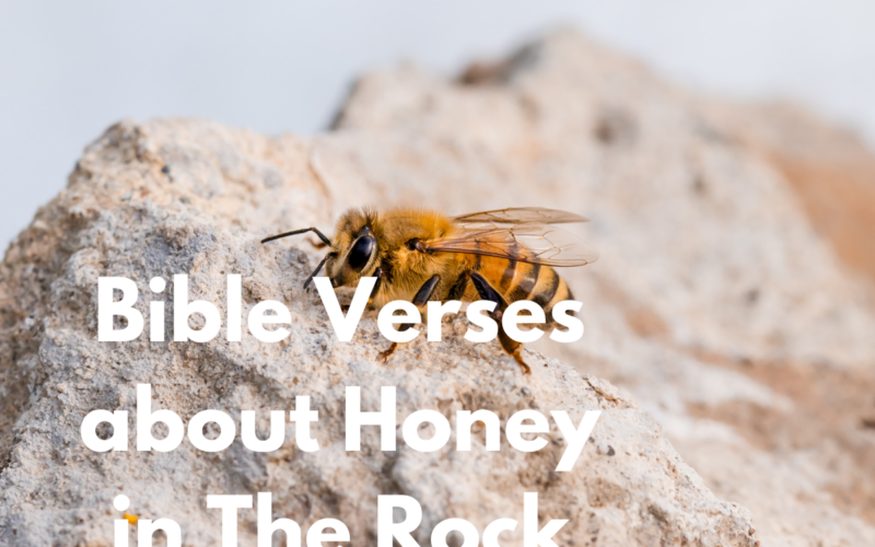Bible Verses about Honey in The Rock