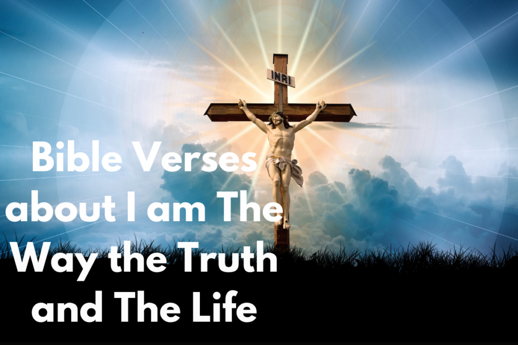 Bible Verses about I am The Way the Truth and The Life