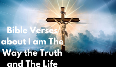 Bible Verses about I am The Way the Truth and The Life