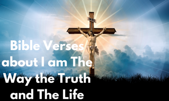 Bible Verses about I am The Way the Truth and The Life
