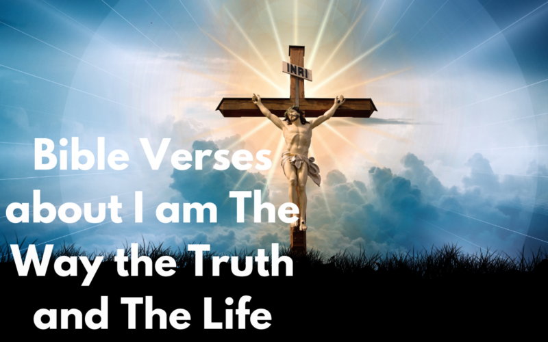 Bible Verses about I am The Way the Truth and The Life