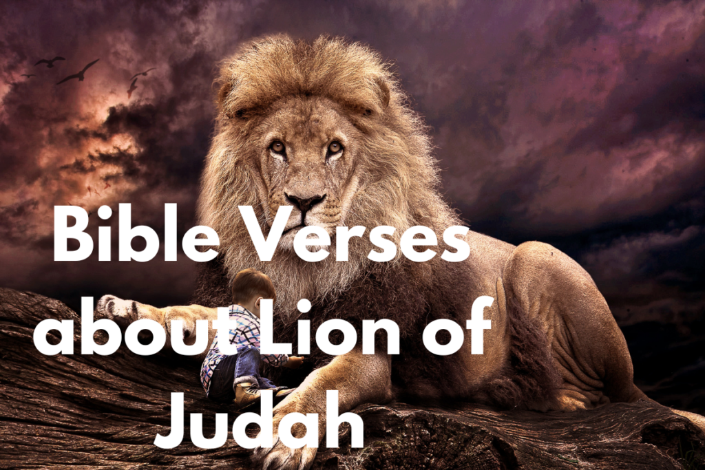 Bible Verses about Lion of Judah