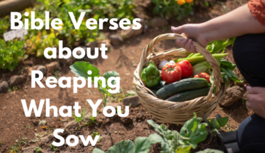 Bible Verses about Reaping What You Sow