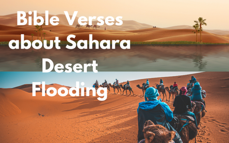 Bible Verses about Sahara Desert Flooding