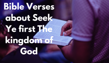 Bible Verses about Seek Ye first The kingdom of God