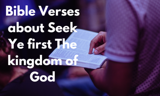 Bible Verses about Seek Ye first The kingdom of God