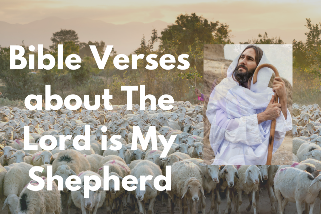 Bible Verses about The Lord is My Shepherd