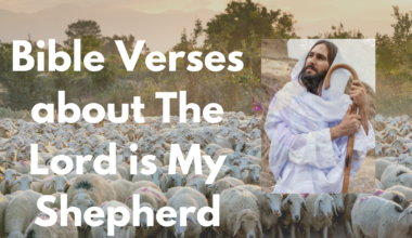 Bible Verses about The Lord is My Shepherd