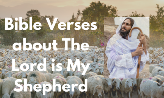 Bible Verses about The Lord is My Shepherd