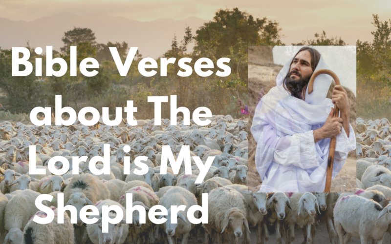 Bible Verses about The Lord is My Shepherd