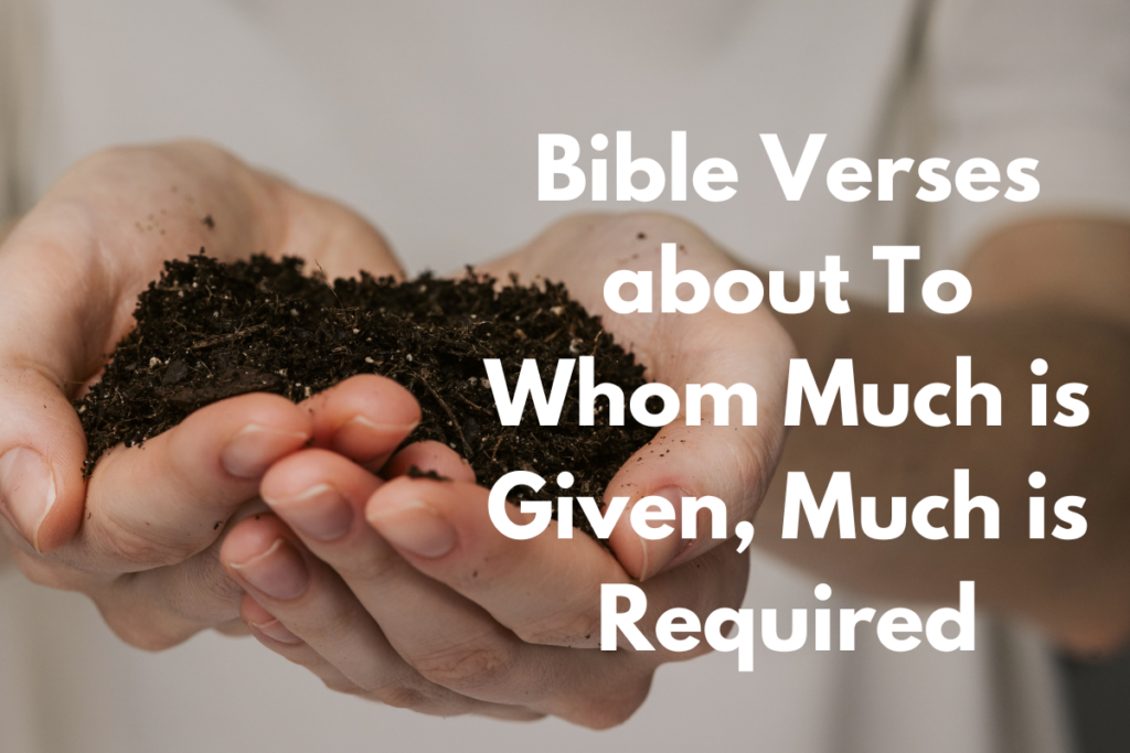 Bible Verses about To Whom Much is Given, Much is Required