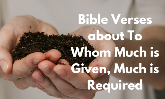 Bible Verses about To Whom Much is Given, Much is Required