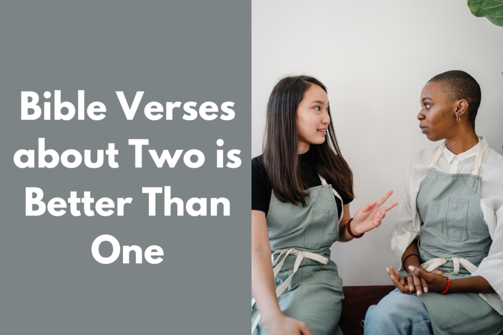 Bible Verses about Two is Better Than One