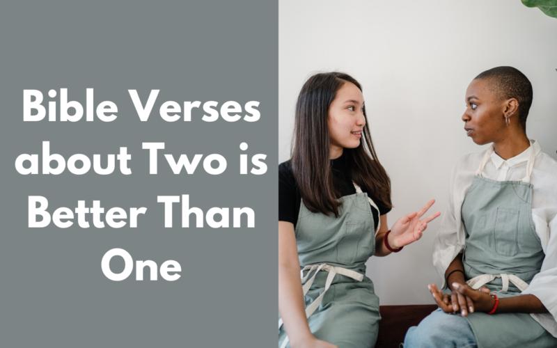 Bible Verses about Two is Better Than One