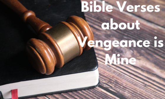 Bible Verses about Vengeance is Mine