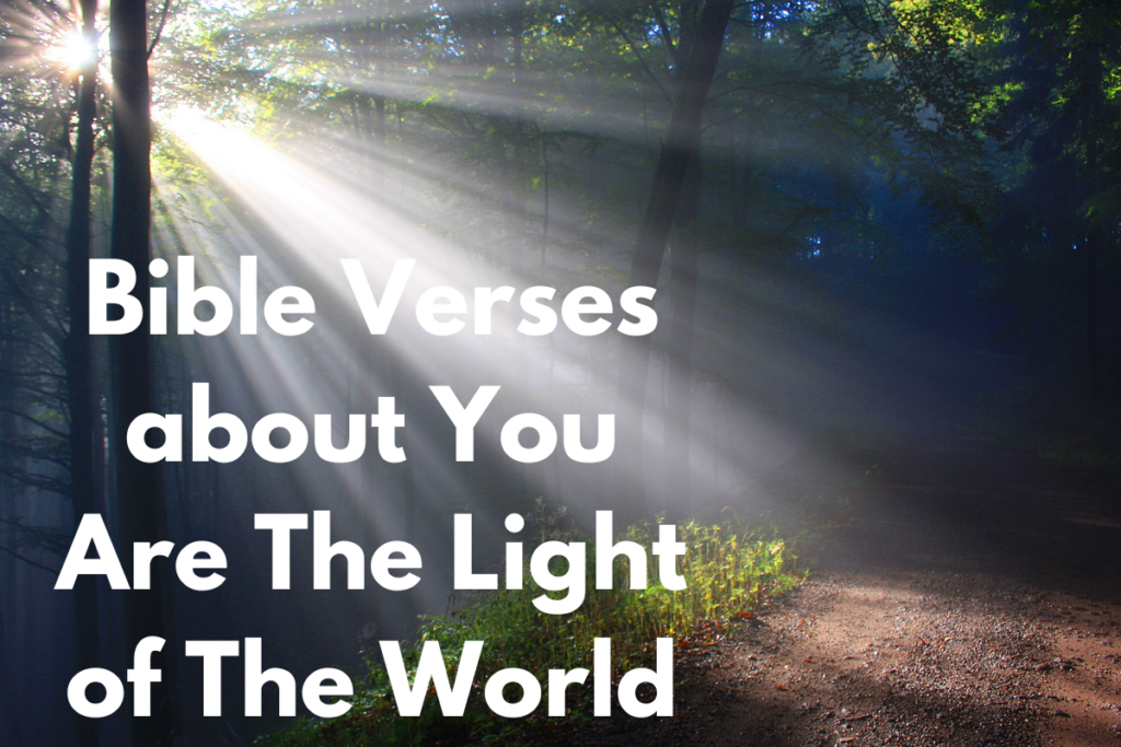 Bible Verses about You Are The Light of The World