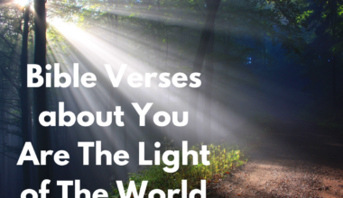 Bible Verses about You Are The Light of The World