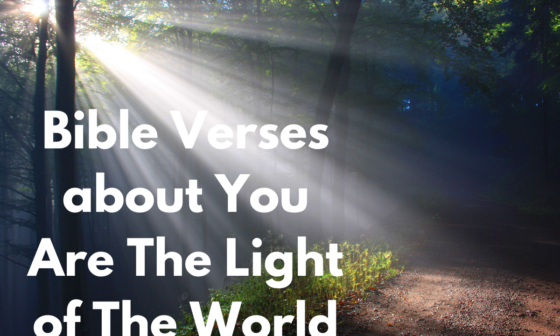 Bible Verses about You Are The Light of The World
