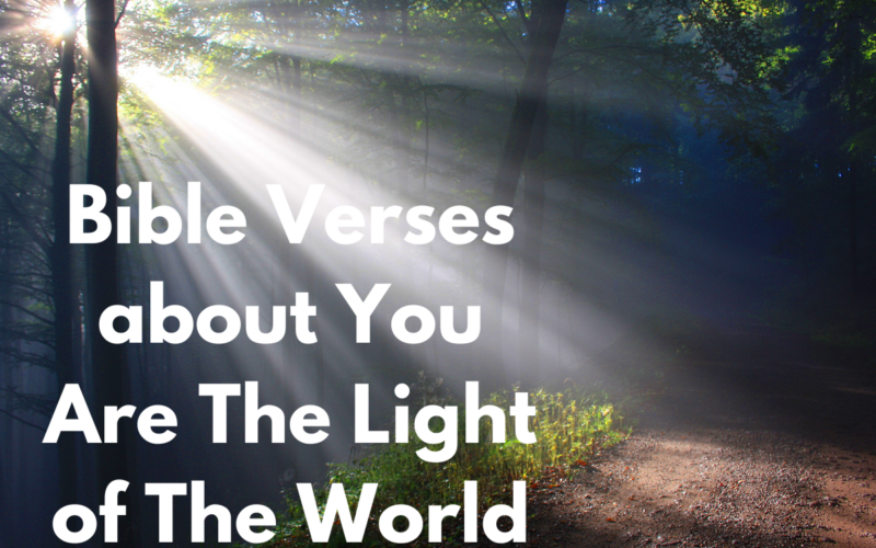 Bible Verses about You Are The Light of The World