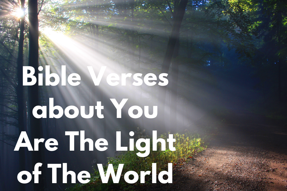 Bible Verses About You Are The Light Of The World - LoveFlocks