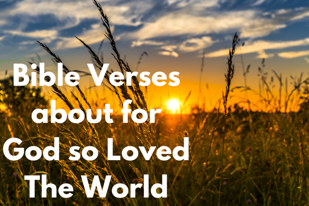 Bible Verses about for God so Loved The World