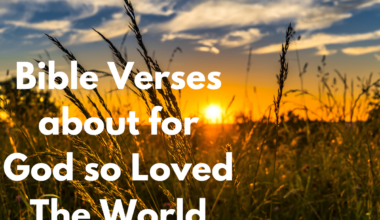 Bible Verses about for God so Loved The World