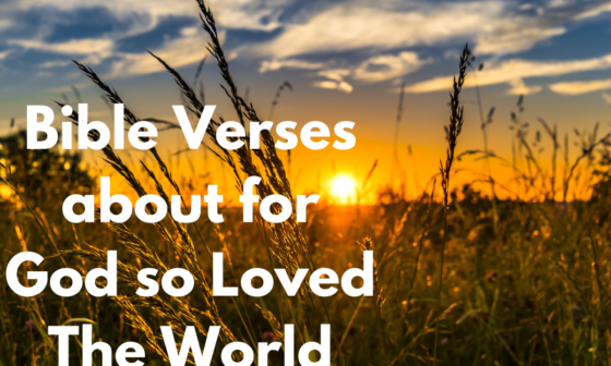 Bible Verses about for God so Loved The World