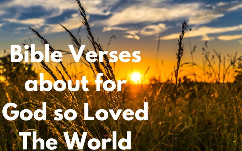 Bible Verses about for God so Loved The World