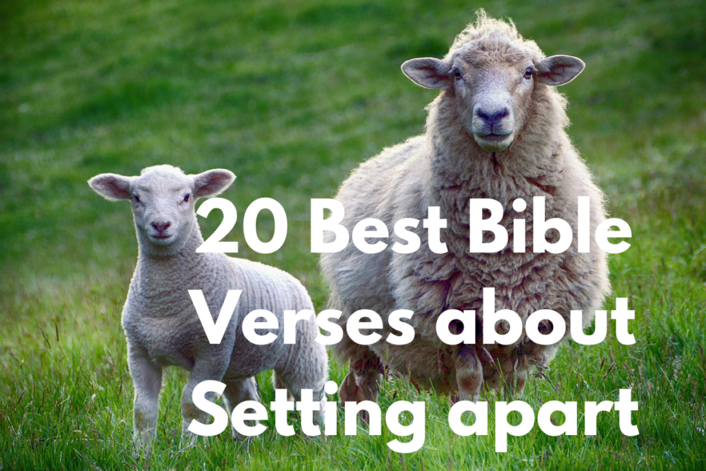 20 Best Bible Verses about Setting apart