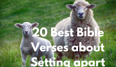 20 Best Bible Verses about Setting apart