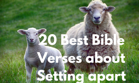 20 Best Bible Verses about Setting apart