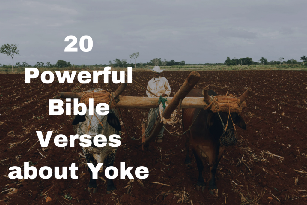 20 Powerful Bible Verses about Yoke