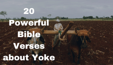 20 Powerful Bible Verses about Yoke