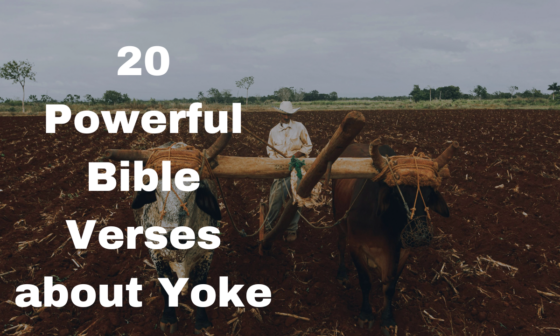 20 Powerful Bible Verses about Yoke