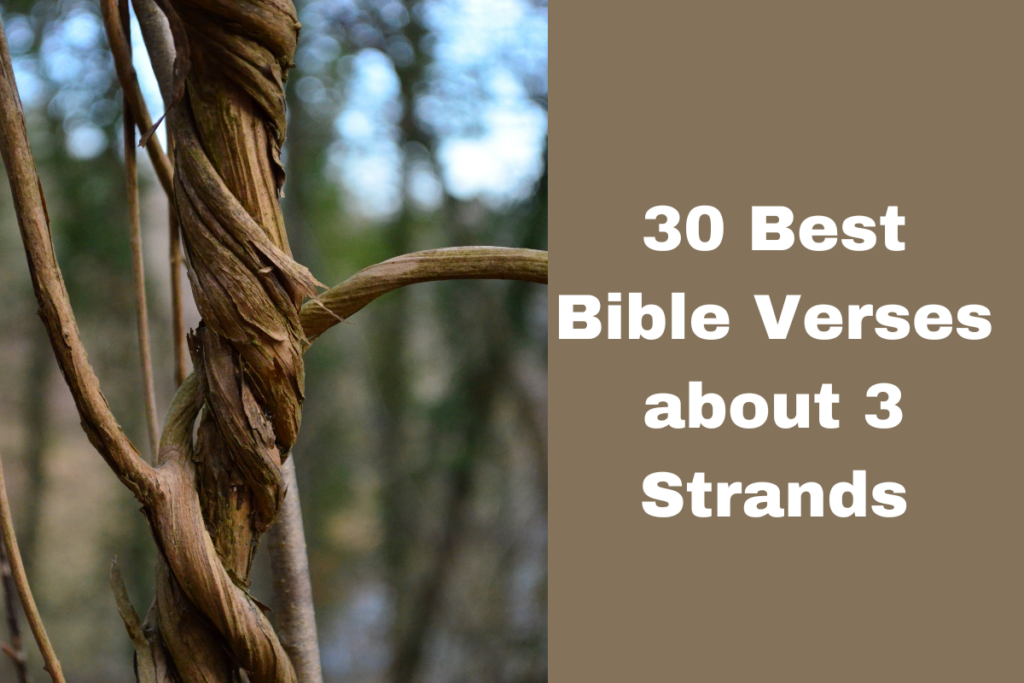 30 Best Bible Verses about 3 Strands