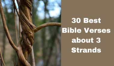 30 Best Bible Verses about 3 Strands