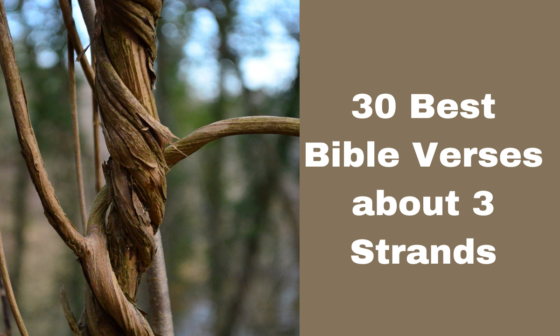 30 Best Bible Verses about 3 Strands