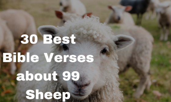30 Best Bible Verses about 99 Sheep