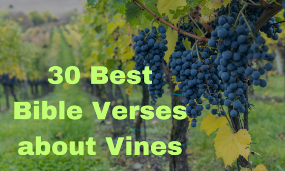 30 Best Bible Verses about Vines