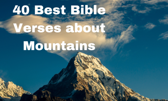 40 Best Bible Verses about Mountains