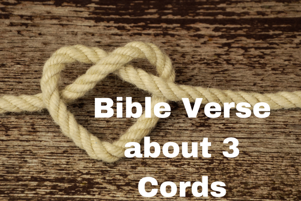 Bible Verse about 3 Cords