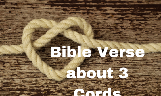 Bible Verse about 3 Cords